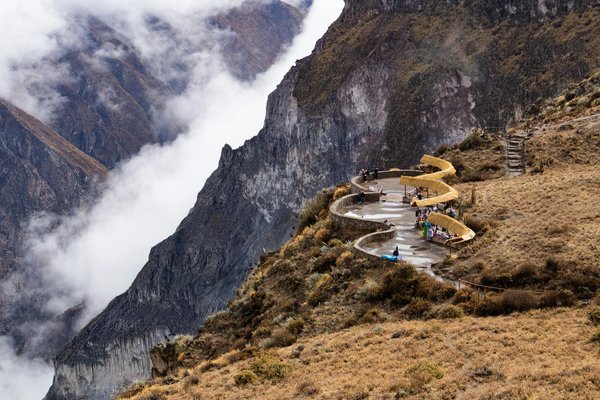 Comment organiser une croisière pour observer les dauphins roses en Amazonie?