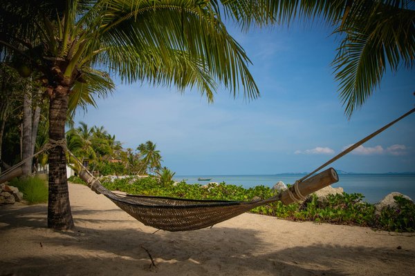 Où pratiquer le snorkeling au milieu des raies manta à Hawaii ?