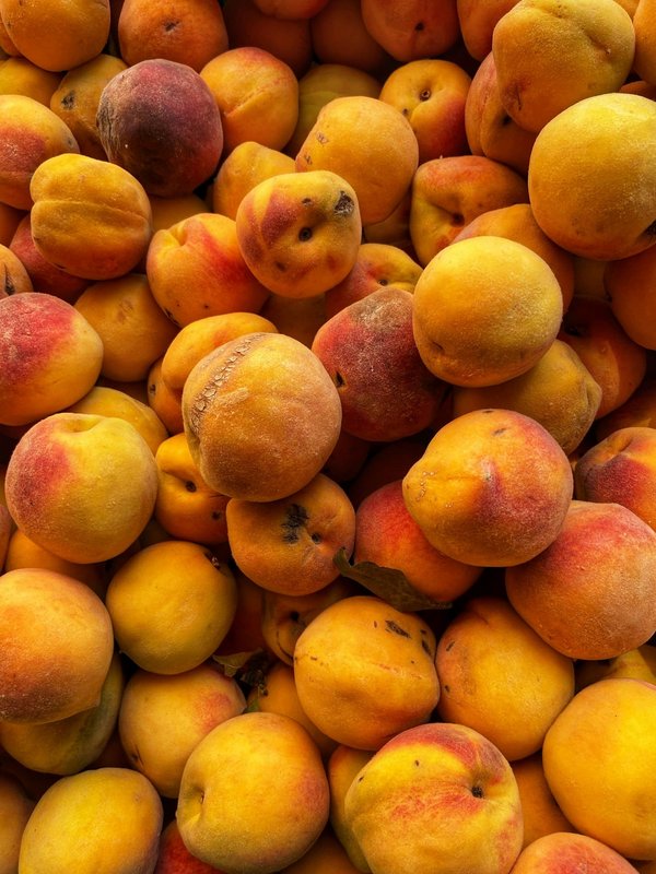 Où trouver les meilleures expériences de pêche en haute mer aux Seychelles?